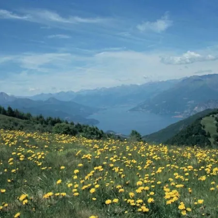 Ghisallo Apartment